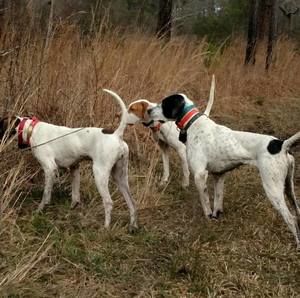 Meet your Posher, Glenn